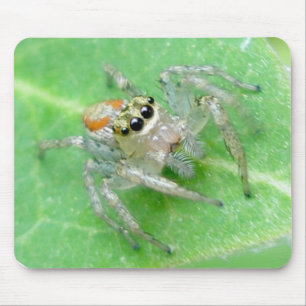 Jumping Spider Salticid Mousepad Muismat