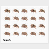 Jumping Spider Stickers (Vel)