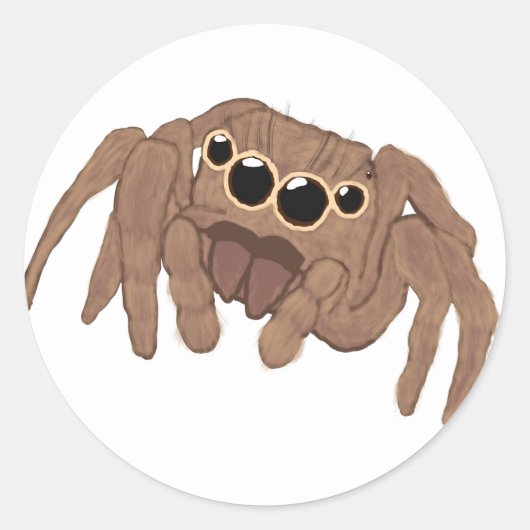 Jumping Spider Stickers (Voorkant)