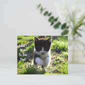 Jumping voor Joy Kitten Briefkaart *Customize* (Staand voorkant)