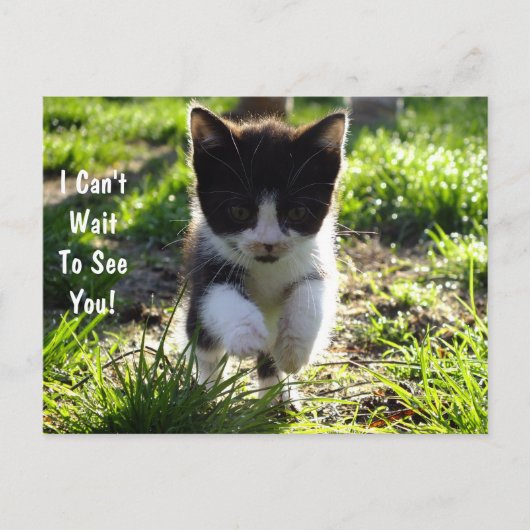 Jumping voor Joy Kitten Briefkaart *Customize* (Voorkant)