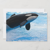 Jumping Whale Invitation Kaart (Voorkant)