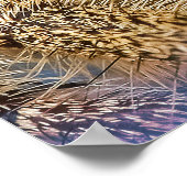 Jumpingspin Poster (Hoek)