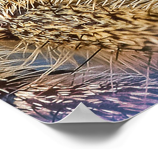 Jumpingspin Poster (Hoek)