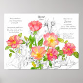 Jun Verjaardag Wilde Rozen Honeysuckle Flowers Poster (Voorkant)