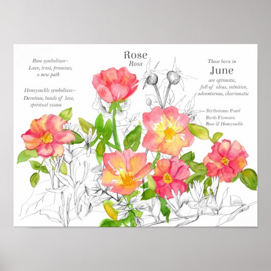 Jun Verjaardag Wilde Rozen Honeysuckle Flowers Poster (Voorkant)