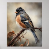 Junco Bird Art Print Poster (Voorkant)