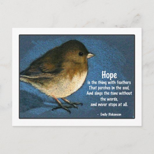 JUNCO BIRD MET GEZEGDE BRIEFKAART (Voorkant)