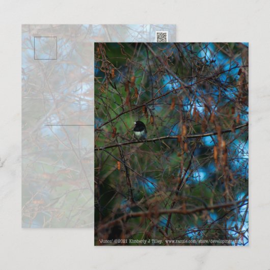 Junco Briefkaart (Voorkant / Achterkant)