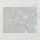 Junco Briefkaart (Achterkant)