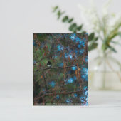 Junco Briefkaart (Staand voorkant)