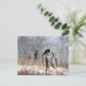 Junco in de sneeuw briefkaart (Staand voorkant)