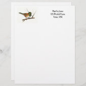 Junco in kleurenpotlood: Vogel: Briefpapier Briefhoofd Ontwerp (Voorkant / Achterkant)