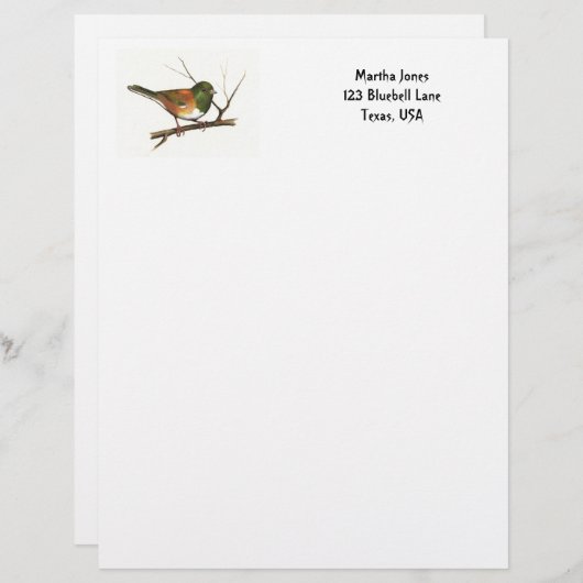 Junco in kleurenpotlood: Vogel: Briefpapier Briefhoofd Ontwerp (Voorkant / Achterkant)