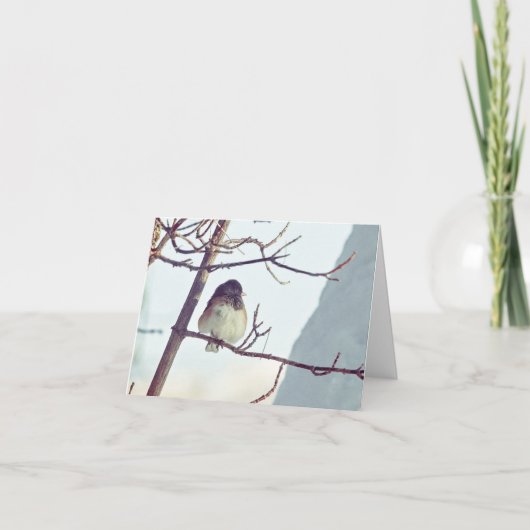 Junco in Montana Winter - 4" x 5.6" Notecard Feestdagen Kaart (Voorkant)