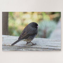 Junco met donkere ogen legpuzzel