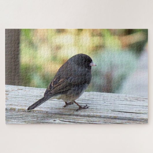 Junco met donkere ogen legpuzzel (Horizontaal)