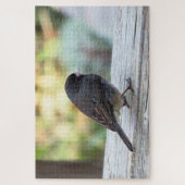 Junco met donkere ogen legpuzzel (Verticaal)