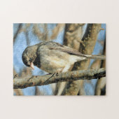 Junco Perched on Branch - Puzzle Legpuzzel (Horizontaal)