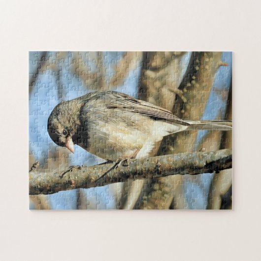 Junco Perched on Branch - Puzzle Legpuzzel (Horizontaal)