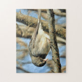 Junco Perched on Branch - Puzzle Legpuzzel (Verticaal)