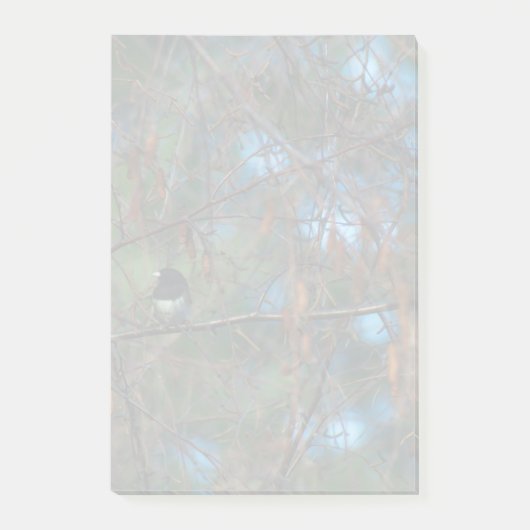 Junco Post-it® Notes (Voorkant)