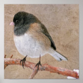 Junco Poster (Voorkant)