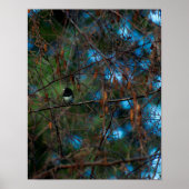 Junco Poster (Voorkant)