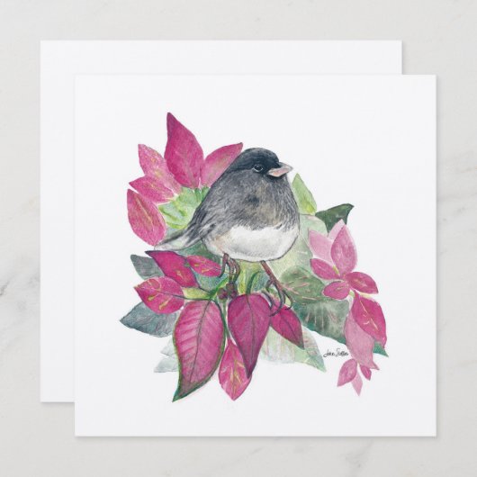 Junco Vogelbloemen (Voorkant / Achterkant)
