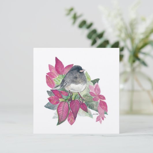 Junco Vogelbloemen (Staand voorkant)