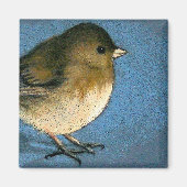 JUNCO VOGELTEKENING MAGNEET (Voorkant)
