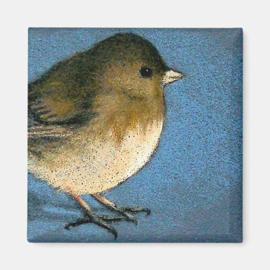 JUNCO VOGELTEKENING MAGNEET (Voorkant)
