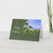 Junco's Birthday Kaart (Voorkant)