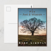 Junction-kaart nr. 43a: licht (oude eikenboom) briefkaart (Voorkant / Achterkant)