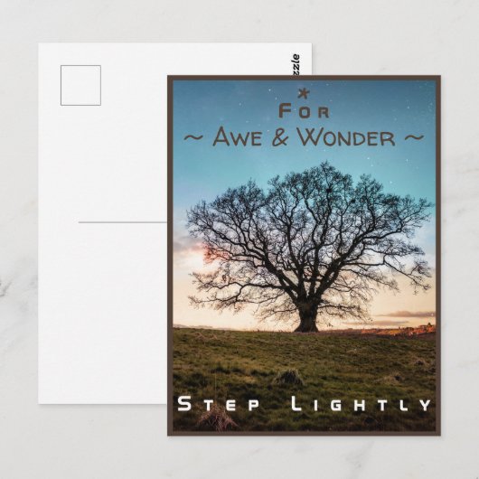 Junction-kaart nr. 43a: licht (oude eikenboom) briefkaart (Voorkant / Achterkant)