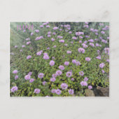 JUNE BRIEFKAART (Voorkant)