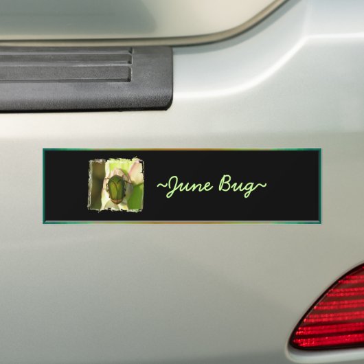 June Bug Bumpersticker (Op auto)