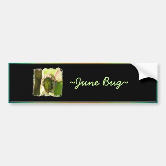 June Bug Bumpersticker (Voorkant)