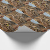 June Bug Cadeaupapier (Hoek)