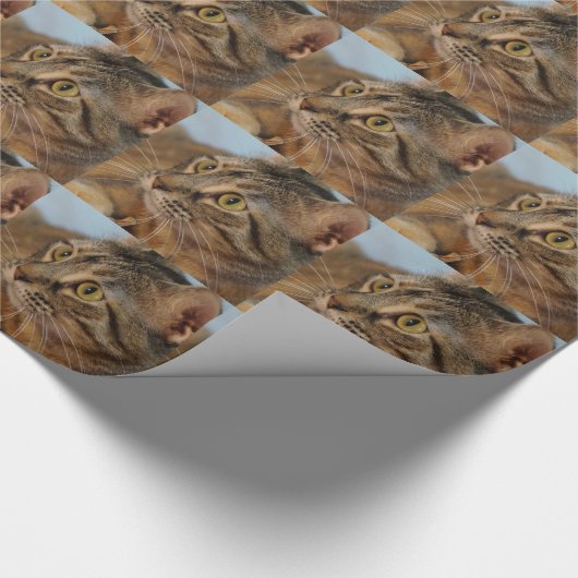 June Bug Cadeaupapier (Hoek)