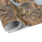 June Bug Cadeaupapier (Rol Hoek)