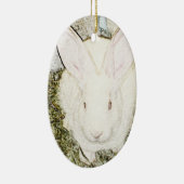 June Bunny Ornament (Rechts)