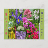 June Flowers Collage Cust. Briefkaart (Voorkant)