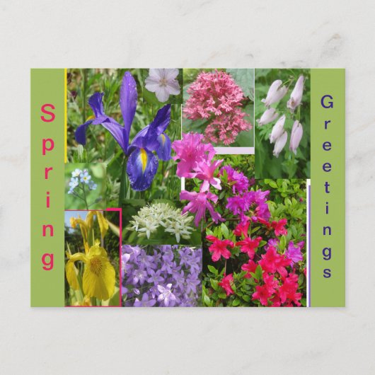June Flowers Collage Cust. Briefkaart (Voorkant)
