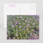 June Jubilee Briefkaart (Voorkant / Achterkant)