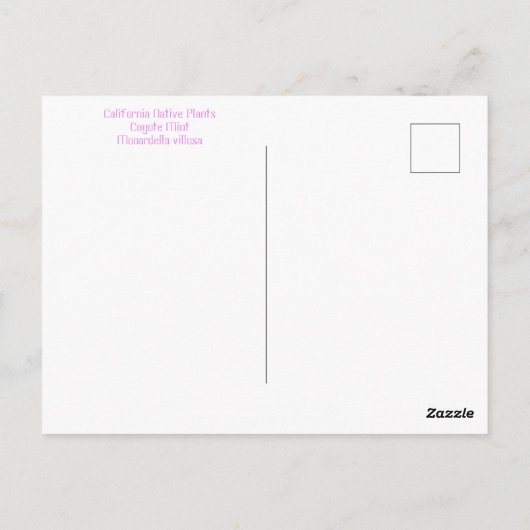 June Jubilee Briefkaart (Achterkant)