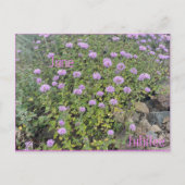 June Jubilee Briefkaart (Voorkant)