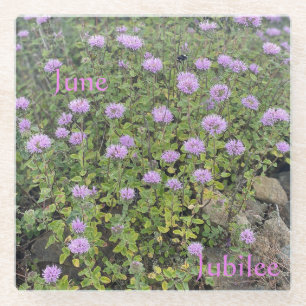 June Jubilee Glass Onderzetter