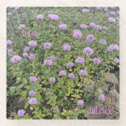 June Jubilee Glass Onderzetter (Voorkant)