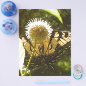 June Monarch Flyer (Enkel)